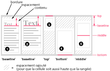 Exemple d'alignement vertical des cellules.